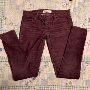 Carve Designs Corduroy Jeggings.